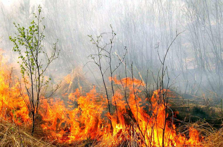 Սևան քաղաքում այրվել է մոտ 35 հա խոտածածկույթ և 15 հա ցորենի չհնձած արտ