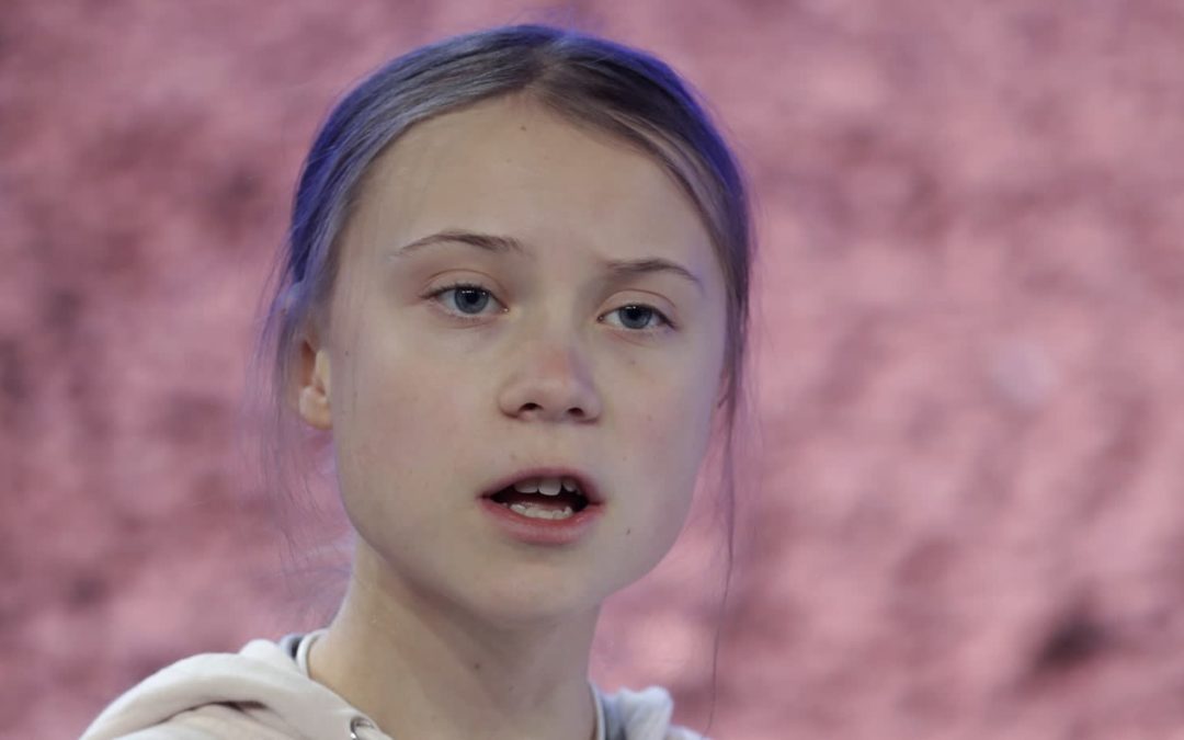 Գրետա Տունբերգը մասնակցել է Իլհամ Ալիևի դեմ ուղղված ցույցին