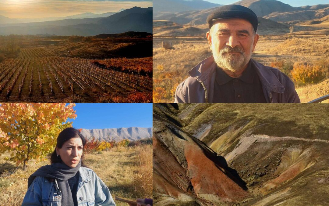 Խաղո՞ղ, թե՞ հանք․ գյուղացին մենակ է հանքափորների ոսկու տենդի դեմ պայքարում